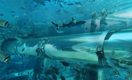 Leap of Faith im Aquaventure Wasserpark