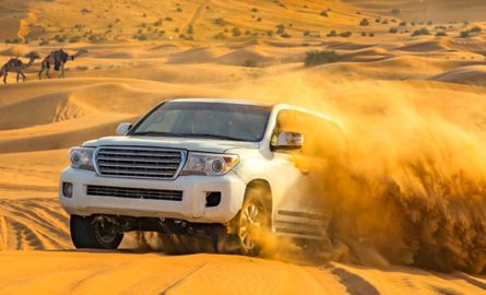 Wüstensafari in Dubai günstig online buchen