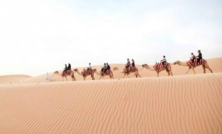 Kamelreiten in der Wüste