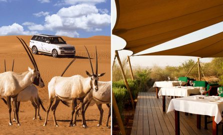 Premium Wüstensafari mit Frühstück